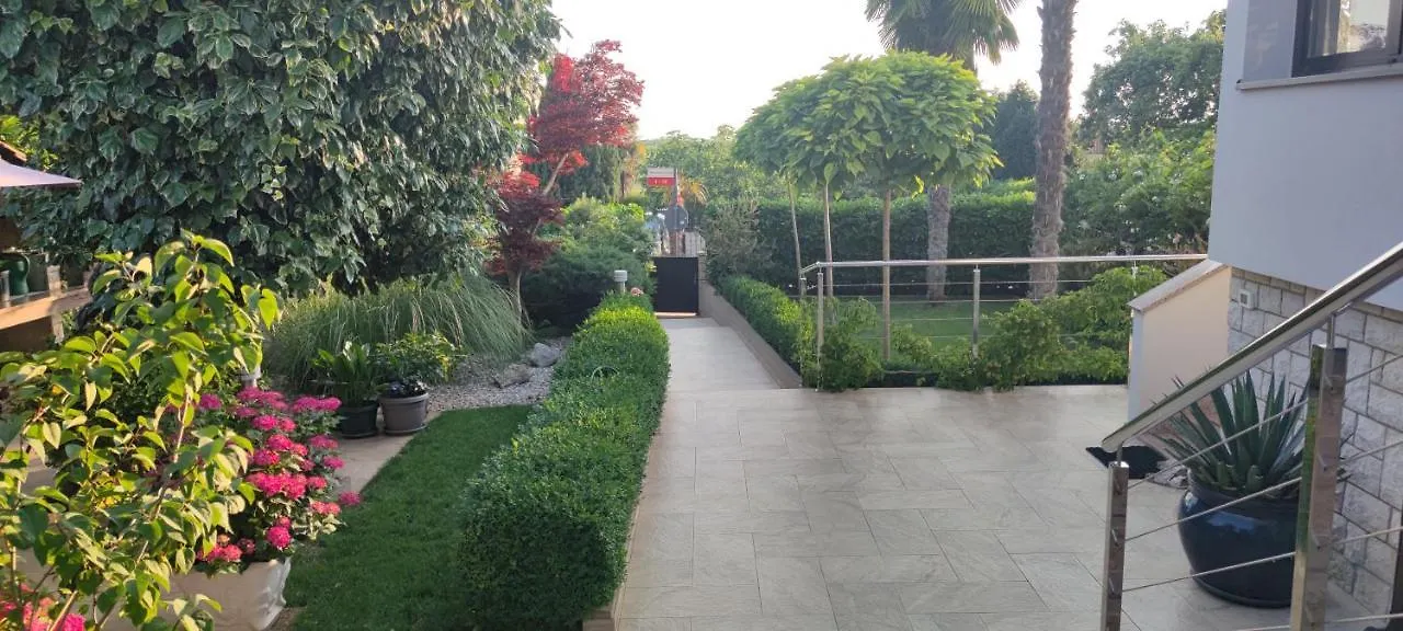 Katarina location